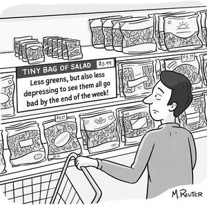 Tiny Bag of Salad by Matthew Reuter