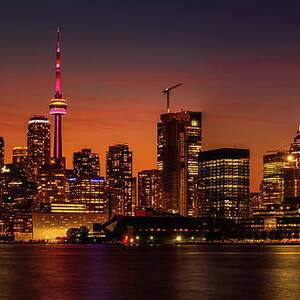 Toronto Gold by Dee Potter