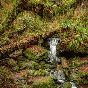 Trillium Falls by Mike Lee