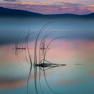 Frozen Reeds at Dawn - Eagle Lake - Lassen County California by Mike Lee