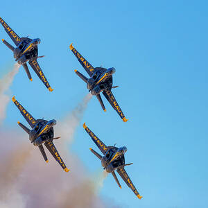 Turning and Burning by Mike Lee