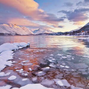 Ullsfjord and the Lyngen Alps at sunset, Troms, Norway by Neale And Judith Clark