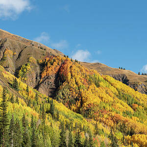 Vibrant Autumn Mountain Landscape - Million Dollar Highway - Colorado by Bruce Friedman