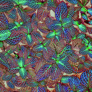 Vibrant Leaf Patterns by Bruce Block Vibrant Leaf Patterns by Bruce Block