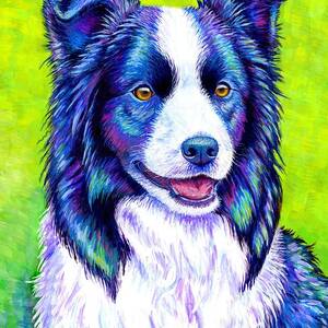 Watchful Eye - Colorful Border Collie Dog by Rebecca Wang