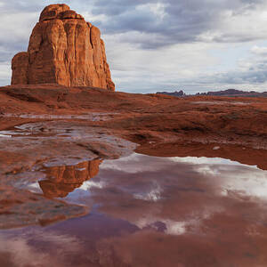 Where Light Returns by Robert Niemeier