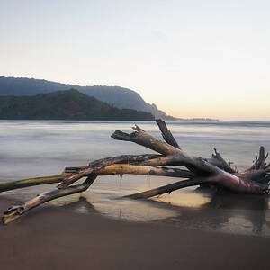 Whisper of the Tide driftwood on Hanalei bay beach at sunrise by Steven Heap