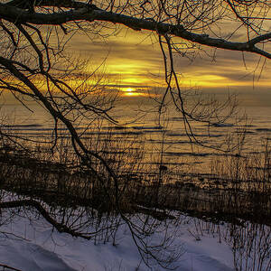 Winter Sunrise Through the Branches by Deb Beausoleil Winter Sunrise Through the Branches by Deb Beausoleil