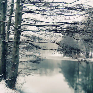 Winter's Reach by Jessica Jenney