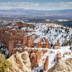 Zion_9955 by Linda Triplett