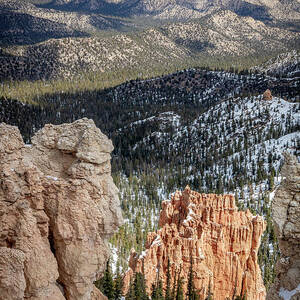 Zion_9958 by Linda Triplett Zion_9958 by Linda Triplett