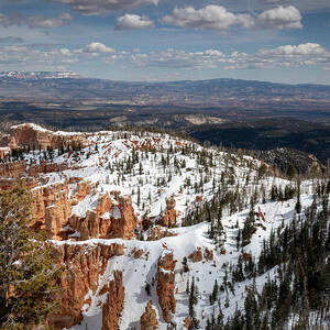 Zion_9993 by Linda Triplett