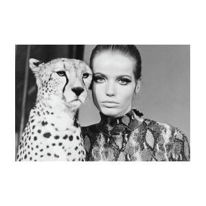 Veruschka With Cheetah by Franco Rubartelli