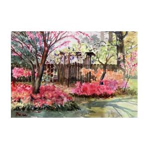 Azalea Gate by Sheila Parsons Azalea Gate by Sheila Parsons