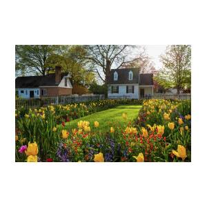 The Taliaferro-Cole House Spring Garden by Rachel Morrison
