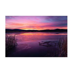 Tule Sunset by Mike Lee Tule Sunset by Mike Lee