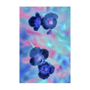 Vivid Blue Blossoms by Bruce Block